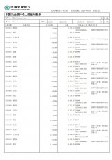 中国农业银行流水展示